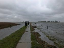 Hochwasser auf dem Koos (Foto: Succow Stiftung)