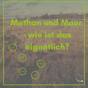 Peatlands and methane - how is that actually?(Illustration: GMC per canva)