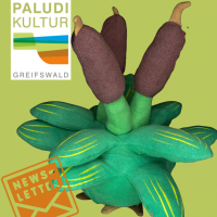Announcement for NL 2025|4 with cuddly cattail plant from paludiculture biomass (Image: Daniel Hengst)