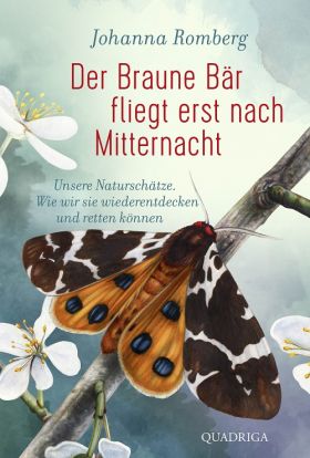 Cover "Der Braune Bär fliegt erst um Miternacht (mit freundl. Genehmigung des Lübbe-Verlags)